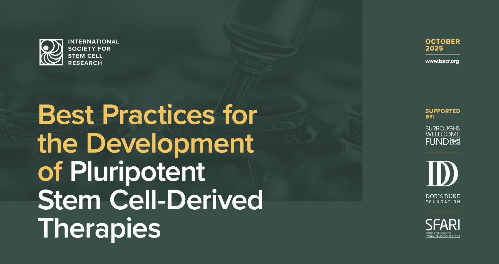 Why Reproducibility and Controlled Freezing Are Non-Negotiable in Stem Cell Therapy Development