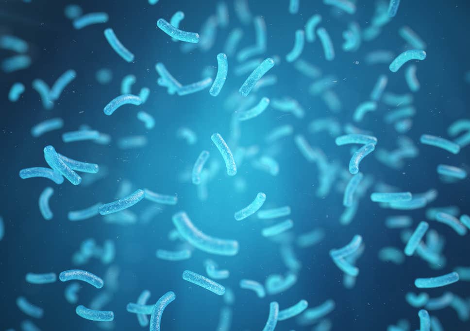 How to prevent Legionella contamination in water baths